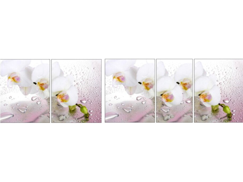 Стол обеденный Грация раздвижной фотопечать Розовая орхидея R 008