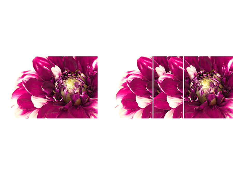 Вариант фотопечати Риал #цветы-10