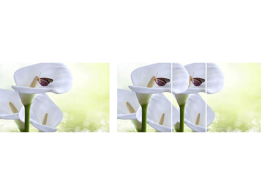 Вариант фотопечати Риал #цветы-19