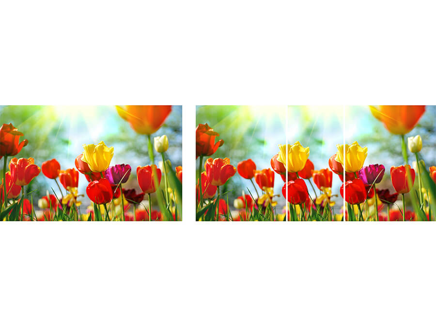Вариант фотопечати Риал #цветы-35
