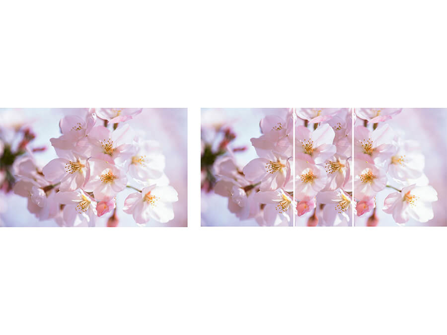 Вариант фотопечати Риал #цветы-38