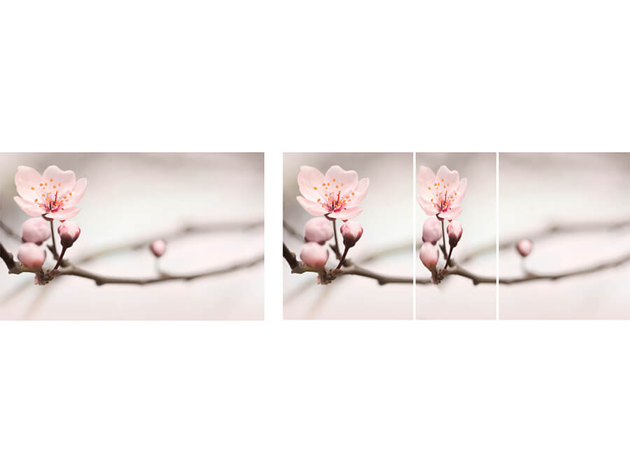 Вариант фотопечати Риал #цветы-55