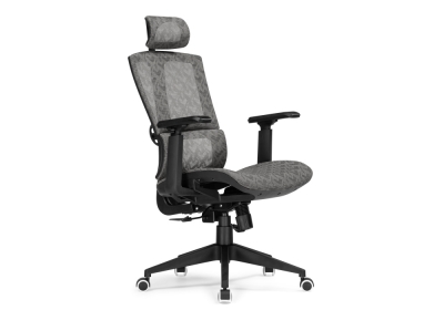 Компьютерное кресло Lanus gray - black
